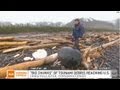 Big chunks of Japan tsunami debris hit U.S.