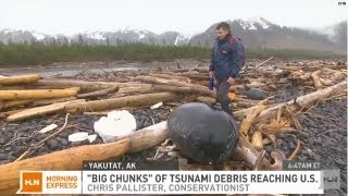 Big chunks of Japan tsunami debris hit U.S.