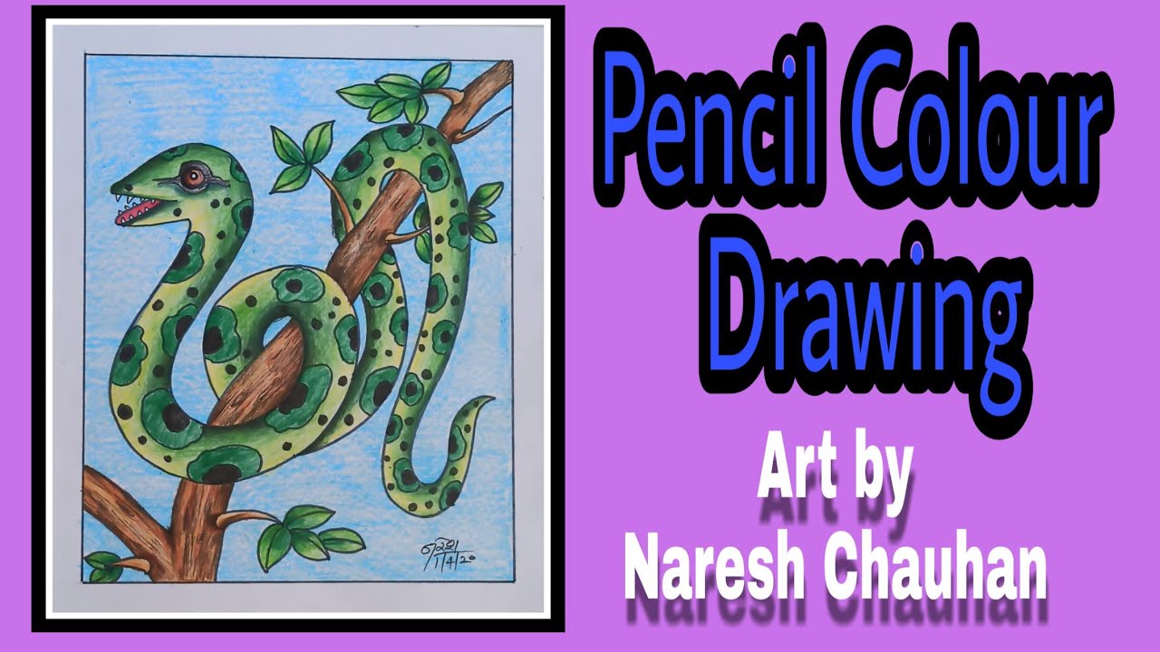  Pencil colour Drawing - YouTube