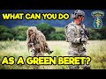WHAT ARE THE 9 US ARMY SPECIAL FORCES JOBS? (GREEN BERETS)
