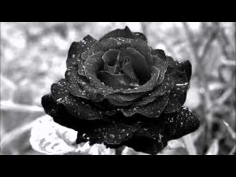 mademoiselle chante le blues