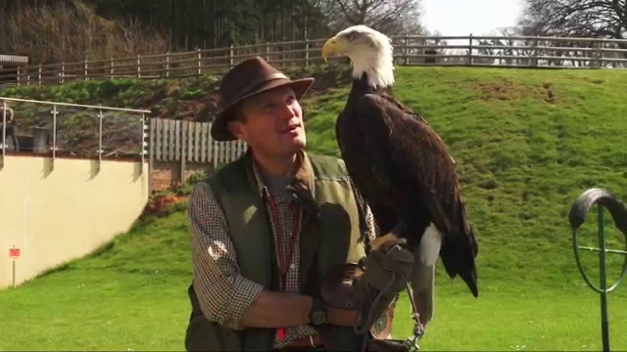 Cofton Country Holidays Full Video