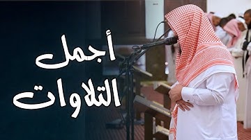 أجمل التلاوات من سورة البقرة للشيخ أنس العمادي | صلاة العشاء 11-10-1446 هـ