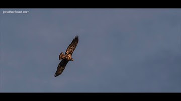 Happiness is the Best Revenge with Jonathan Foust