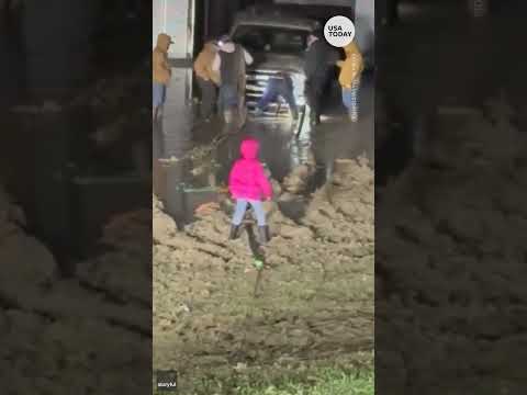 Adorable little girl gets stuck while walking through mud | USA TODAY #Shorts
