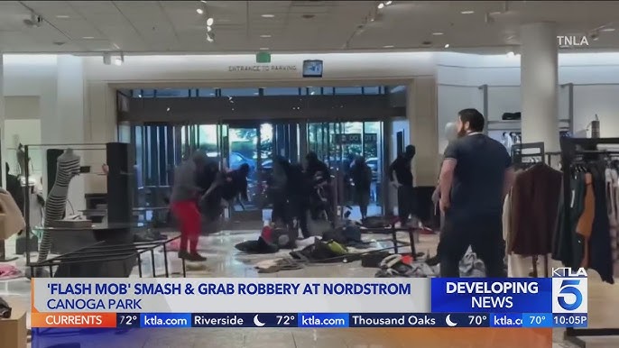 Dozens of People Ransacked Nordstrom in Smash-and-Grab Looting: Police