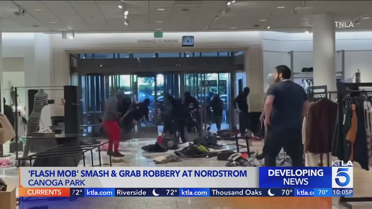 Video Brazen 'smash and grab' robbers target LA Nordstrom - ABC News