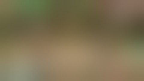 Tiny Gladiators Full 💎 Diamond 💎 Hack👾👾👾