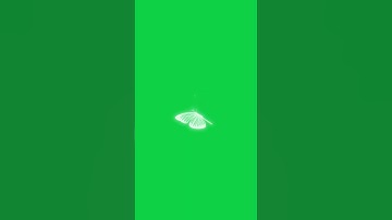 White butter fly green screen animation free to use