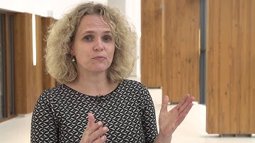 Wegwijs in het nieuwe MST