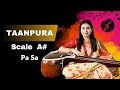 Tanpura  sound  scale a pa sa  vocal practice  riaz  meditation  best for female singer