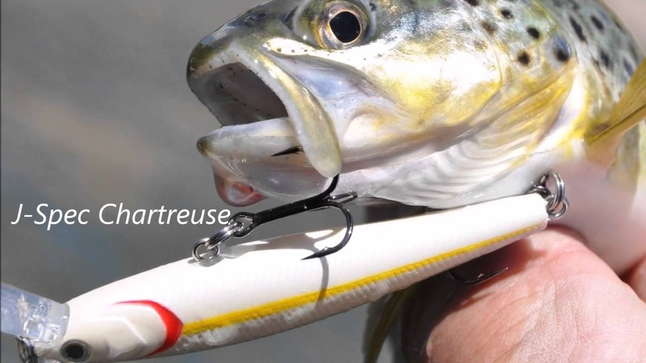 Dynamic Lures J-Spec