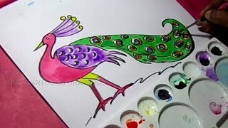 peacock drawing simple colorful draw easy drawings paintingvalley