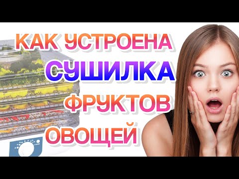 Как устроены электро-сушилки для овощей и фруктов
