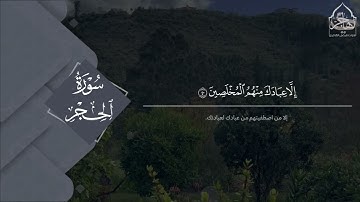 ﴿ادخُلوها بِسَلامٍ آمِنينَ﴾ تلاوة خاشعة ومؤثرة للقارئ فيصل الهاجري من سورة الحجر