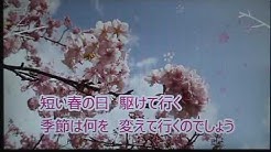 さくらゆうこ Youtube