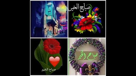 قراءة هادئة //سورة الشرح