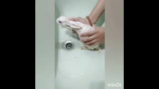 # bunnies #bath time  🛁