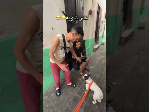 كانت غتعضو على شوية  اكسبلور   كلاب ضحك 