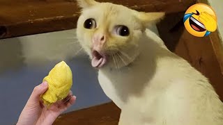 :         ! 