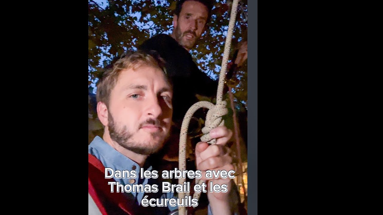 🌳Dans les arbres avec Thomas Brail et les écureuils