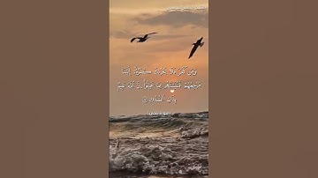 سورة لقمان من  آية 22 إلى آية 24 بصوت الشيخ ياسر الدوسري♥♥