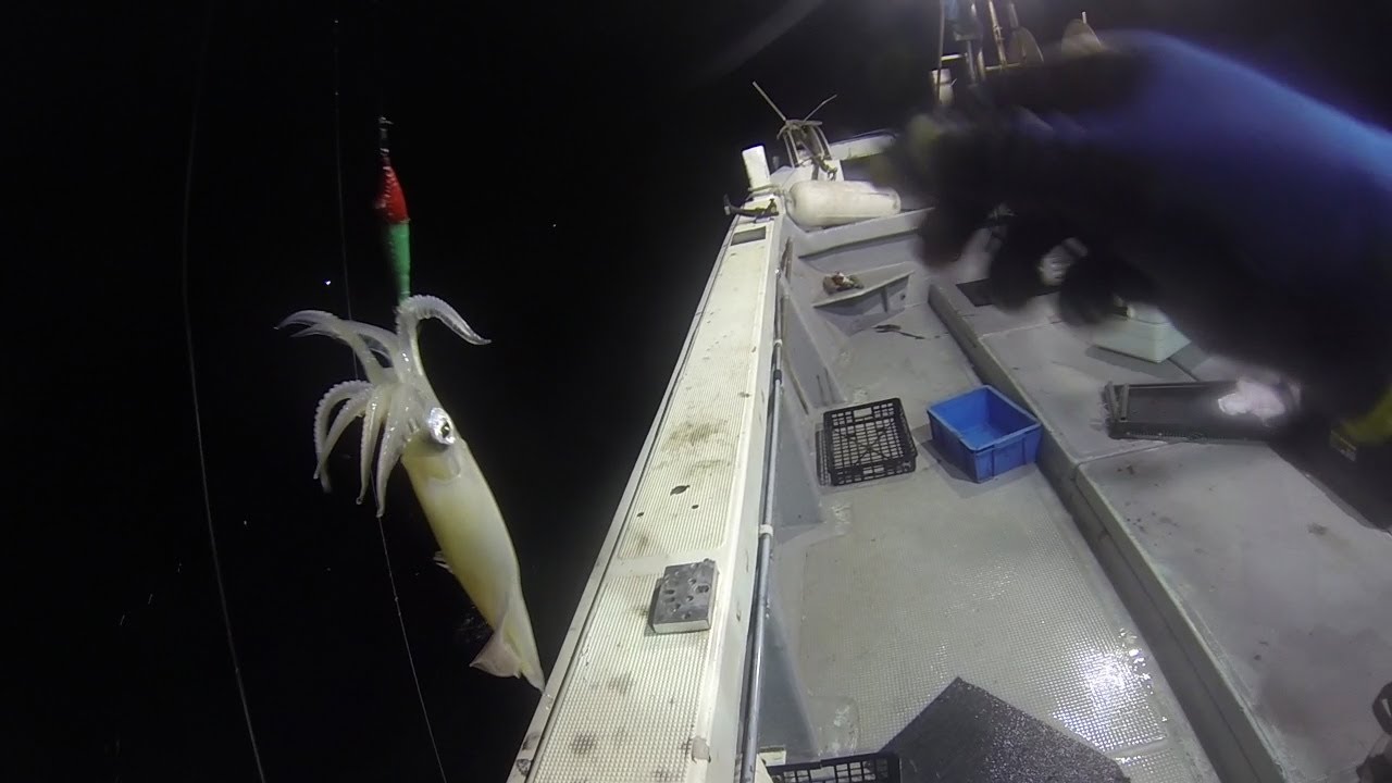 13年8月 玄海沖 夜焚きイカ釣り 福寿丸 大島 Squid Fishing Youtube