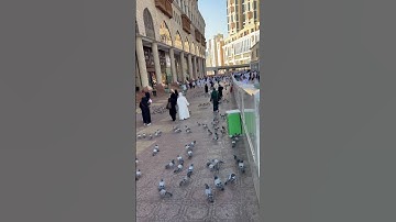 الحمد لله ربّ العالمين #عبدالرحمن_مسعد_تلاوة_جديدة #عبدالرحمن_مسعد #مكة_المكرمة