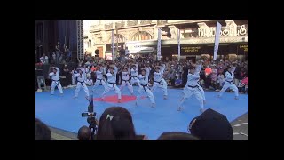 Kukkiwon Taekwondo Demonstration (Brussels 2021)