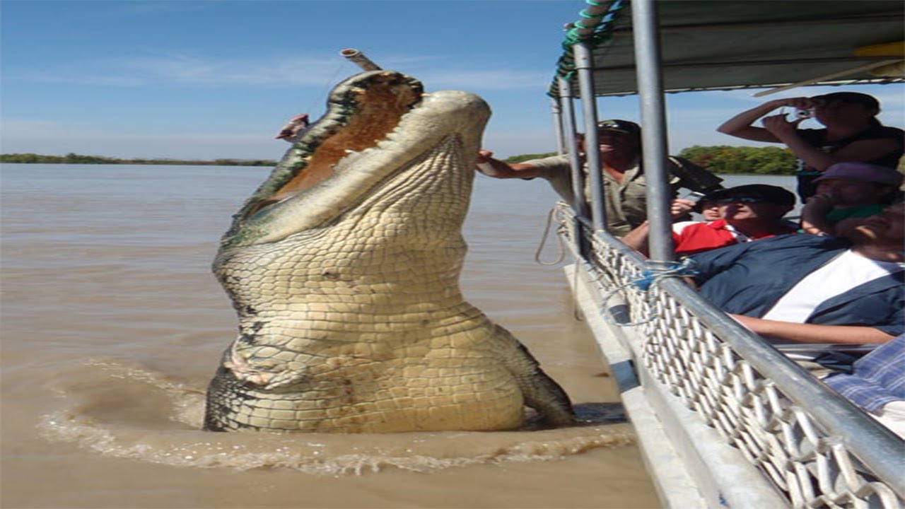 ⁣⁣Lesson Plan: Exploring the Wonders of Nature: 10 Abnormally Large Animals That Truly Exist