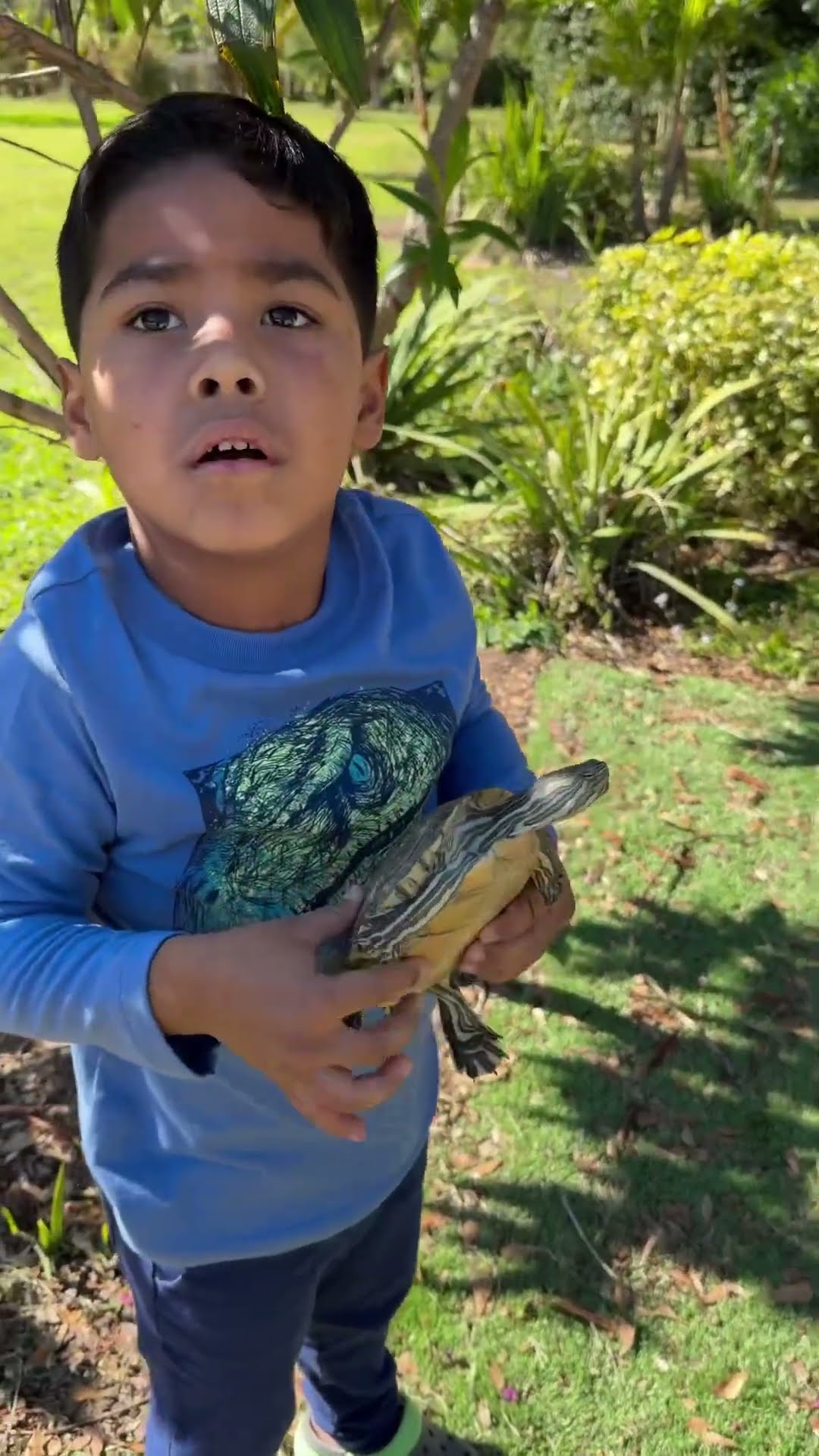 Mom catches son taking turtle down the slide #shorts