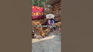 POV; you’re a kind soul stayed for 15s and write random words to help my dogs get some more food 🥹