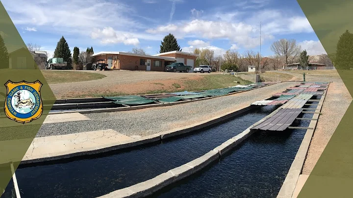 Trout Hatchery Tour - Tillett Springs Rearing Station