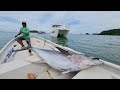 Highlights May 2021 Trip to Sport Fish Panama Island Lodge!