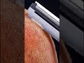 Sapodilla in microscope #shorts #asmr #satisfying #microscope