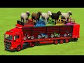 LOADING SHEEPS &amp; TRANSPORTING YAMAHA BIKES WITH MAN TRUCK CHALLENGE - Farming Simulator 22