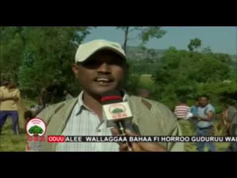 Raayyaa Ittisa Biyyaa 23 3 2012