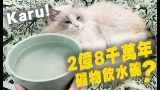 貓開箱! 2億8千萬年礦物飲水碗! 超高級設備開箱!