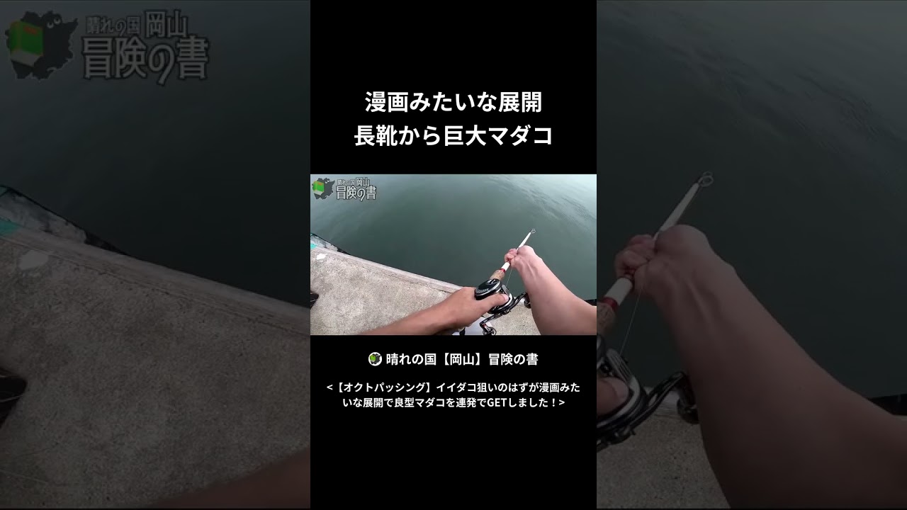 漫画みたいな展開 長靴から巨大マダコ