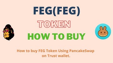 How to Buy FEG Token (FEG) Using PancakeSwap On Trust Wallet OR MetaMask Wallet