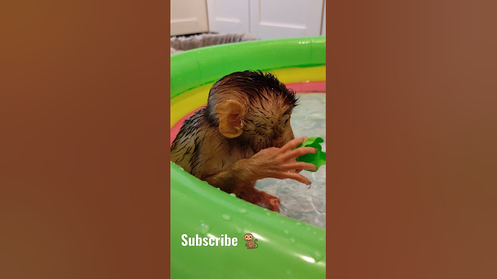 The monkey swims 🐒💦#shorts