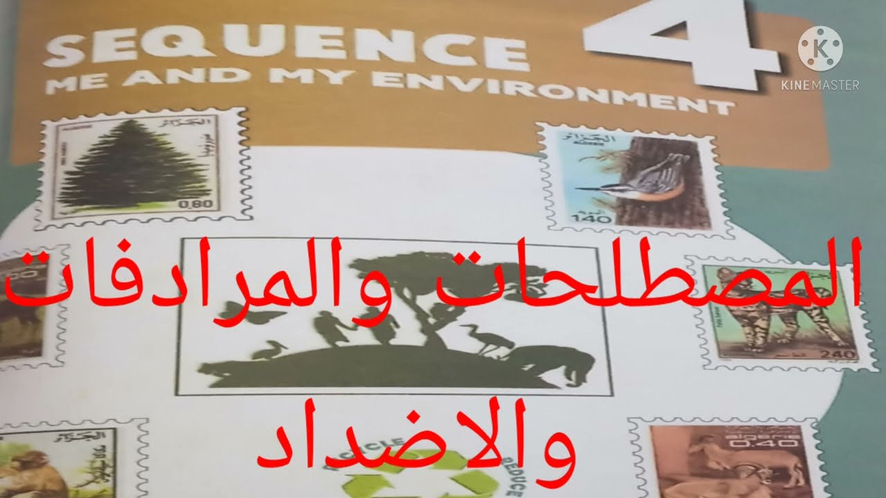 اهم المصطلحات والمرادفات والاضداد للمقطع الرابع السنة الثالثة متوسط انجليزية Me and my environement