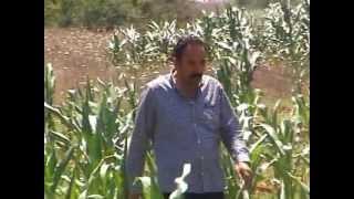 Ali̇ Kaya Bi̇lemedi̇m