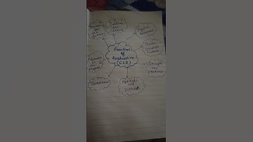 Function of evaluation (CCE) || b.ed 3rd sem. || Teaching of mathematics ||