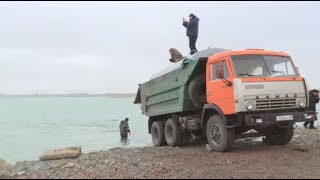 Зарыбление водоёмов: свыше 420 тыс. карпов выпустили в Карагандинской области