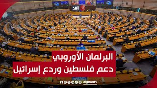 عضو البرلمان البلجيكي يكشف للغد عن تحركات المجلس الأوروبي لدعم فلسطين وردع إسرائيل