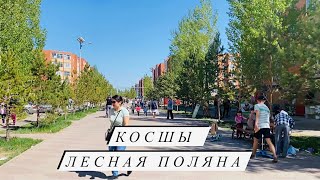 Посёлок Косшы | 10 минут езды от Астаны | Лесная Поляна, Село Косшы. Kazakhstan 2021