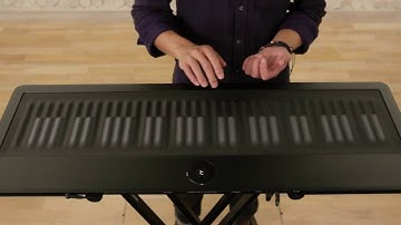 ROLI Tutorials  Seaboard Playing Techniques and Sounds   Tenor Sax