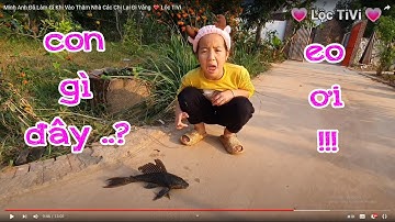 Minh Anh Tìm Được Cá Dọn Bể, Cá Lau Kính 💗 Lộc TiVi