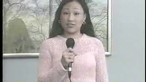 All About 2004 Mock Convention